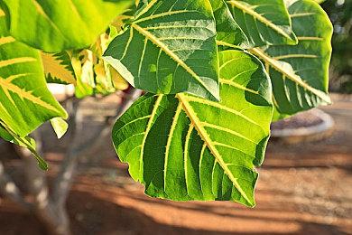 《血源》上榜！万圣节最适合游玩的20大恐怖游戏